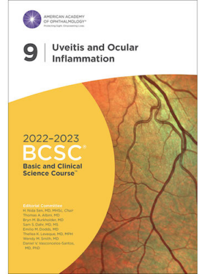 2022 2023 Basic and Clinical Science Course Section 09 Uveitis and Ocular Inflammation