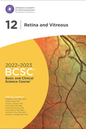 2022 2023 Basic and Clinical Science Course Section 12 Retina and Vitreous