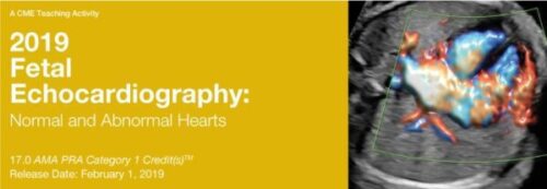 2019fetalechocardiography 600x208 1