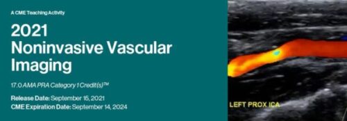 docmeded 2021 noninvasive vascular imaging 600x209 1