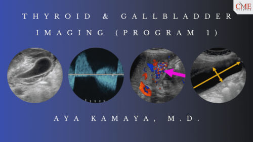 thyroid gallbladder imaging program 1 aya kamaya m d afkebooks