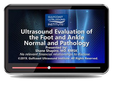 ultrasound evaluation of the foot ankle normal pathology online video