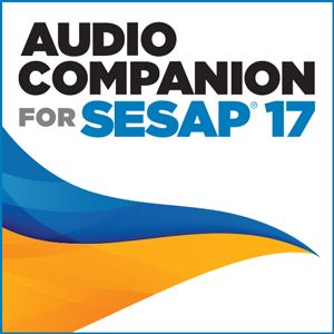 0002261 audio companion for sesap 17 300