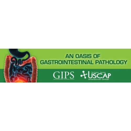 1573063511 4532967 gastrointestinal banner 600x600 png