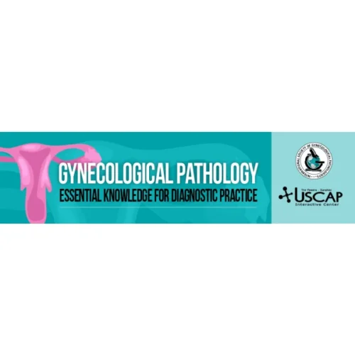 1630536207 7906687 isgp gyn banner 600x600 png