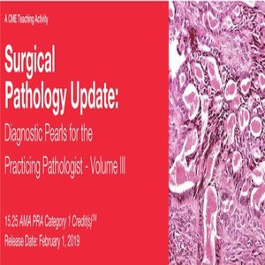 2019 surgical pathology update diagnostic pearls for the practicing pathologist vol iii