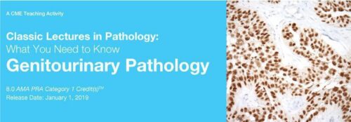 7 2019 classic lectures in pathology what you need to know genitourinary pathology
