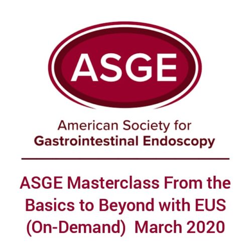 asge masterclass from the basics to beyond with eus