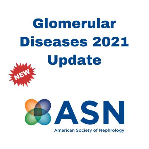 asn glomerular diseases 2021 update scaled 1
