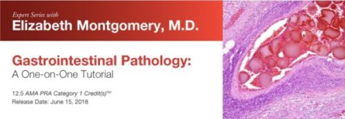 docmeded 2018 expert series with elizabeth montgomery m d gastrointestinal pathology a one on one tutorial 600x208 1