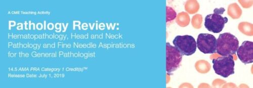 docmeded 2019 pathology review hematopathology head and neck pathology and fine needle aspirations for the general pathologist 600x209 1