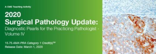 docmeded 2020 surgical pathology update diagnostic pearls for the practicing pathologist vol iv 600x209 1