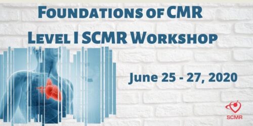 foundations of cmr e28093 level i scmr workshop 2020