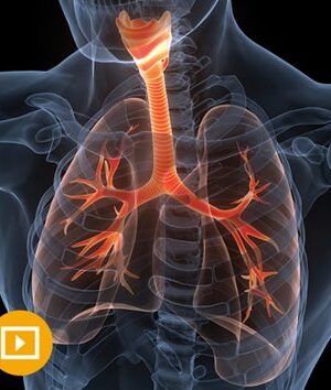 the brigham board review and comprehensive update in pulmonary medicine 2022