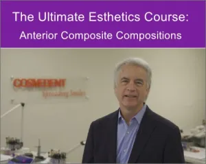 the ultimate esthetics course anterior composite compositions 2