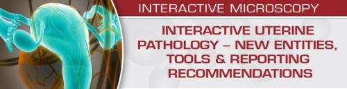 uscap interactive uterine pathology new entities tools reporting recommendations medical video courses